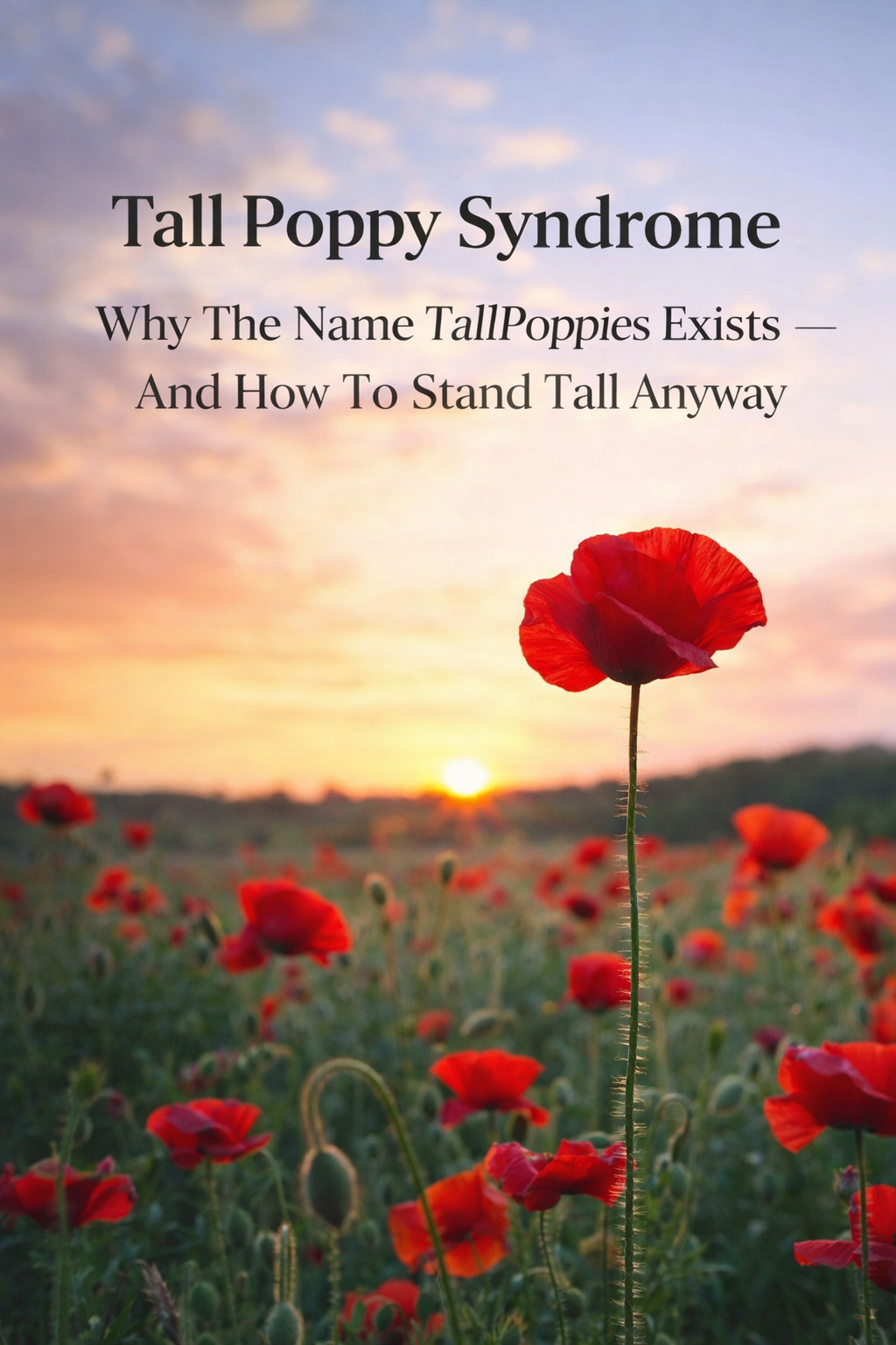 Tall Poppy Syndrome